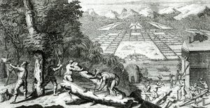Ilustracja z „Powodów założenia kolonii Gruzji” Benjamina Martyna (1699-1763), 1733